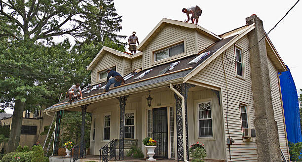 Best Flat Roof Repair Services  in Sneads, FL